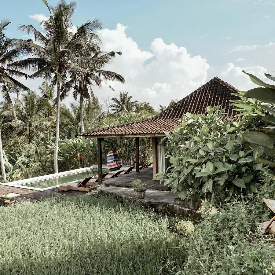Hotel New Villa Nirmala Ubud